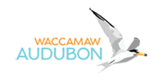 Waccamaw Audubon Society